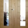 Glazed pair of oak veneered doors